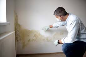 Best Forensic Mold Investigation  in Zolfo Springs, FL